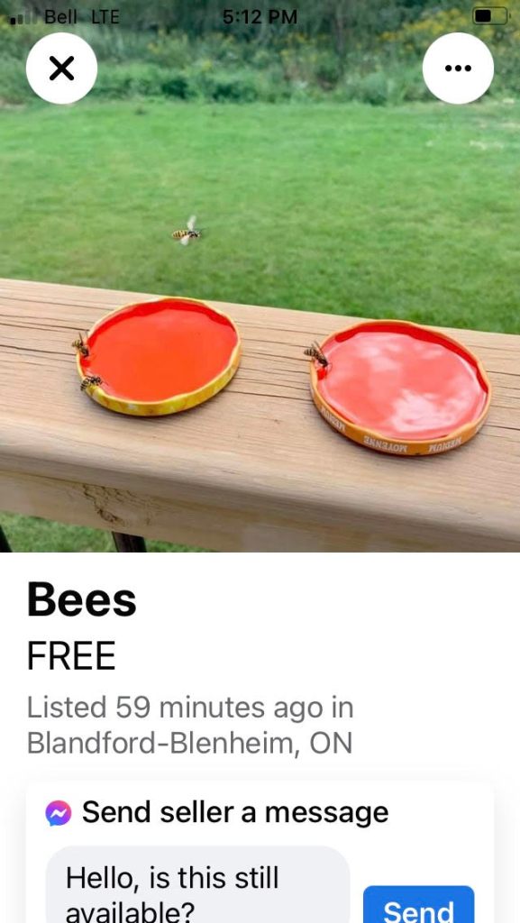 Ad that says Free Bees